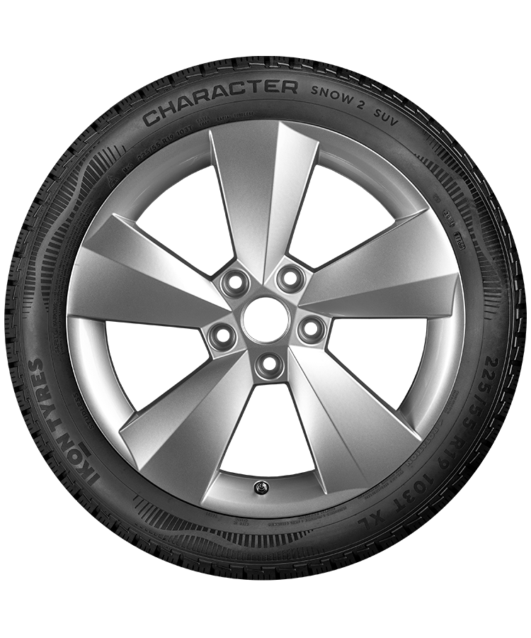 Ikon (Nokian Tyres) Character Snow 2 SUV 225/65 R17 106R (XL) заказать